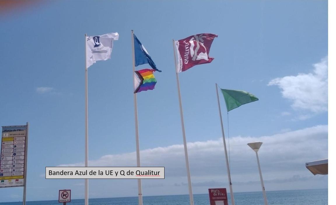 Apartamento En Piles Playa Exteriör bild